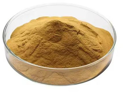 Ligusticum Wallichii Extract