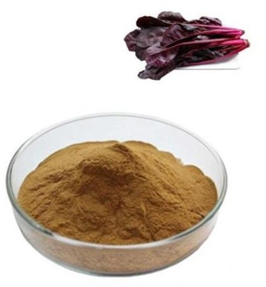 Red Spinach Extract