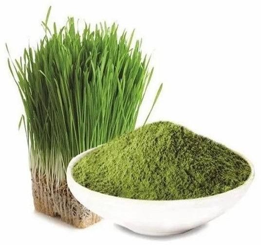 Barley Grass Extract