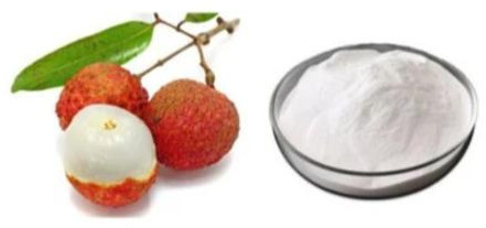 Lychee Extract