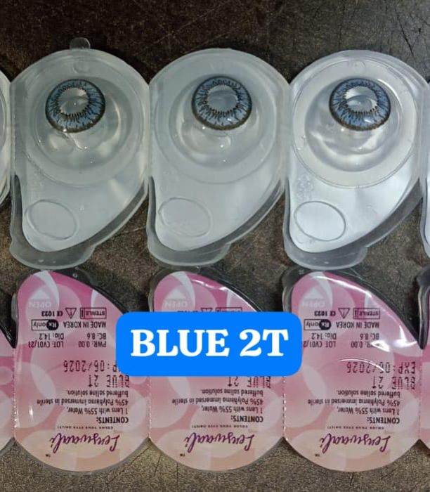 Daily Color Contact Lens Blue 2T