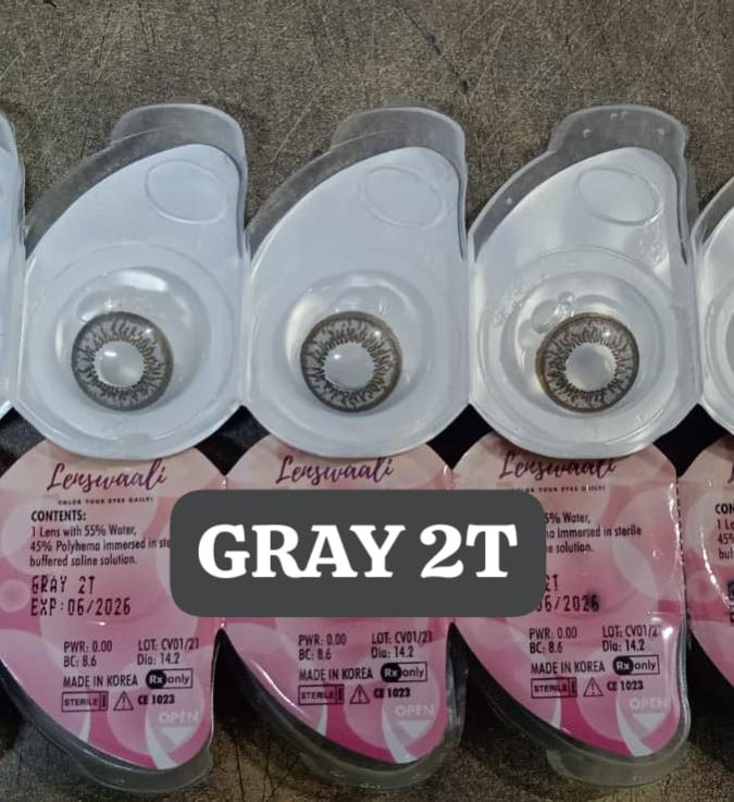 Daily Color Contact Lens Gray 2T