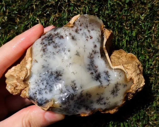 Dendritic Agate