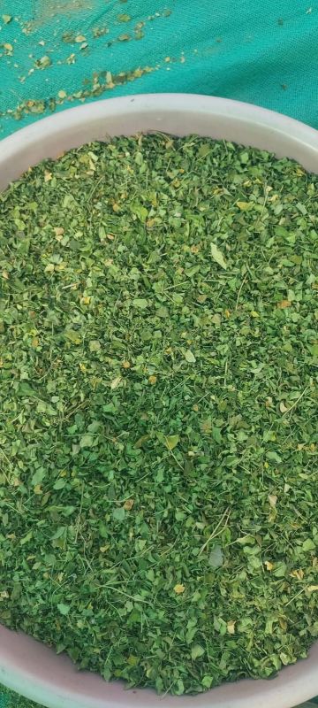 Organic Moringa Dry Flower