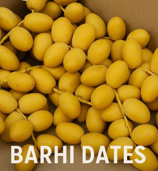 Dates Barhi