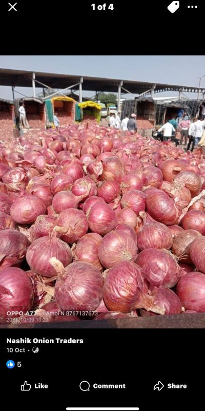 red onion