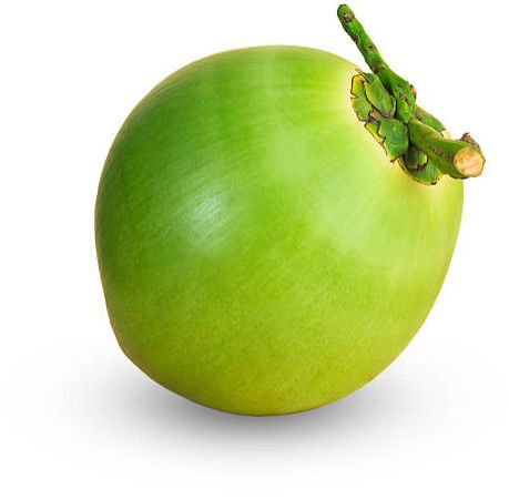 Natural Tender Coconut Medium, Weight : 500-700 Grams