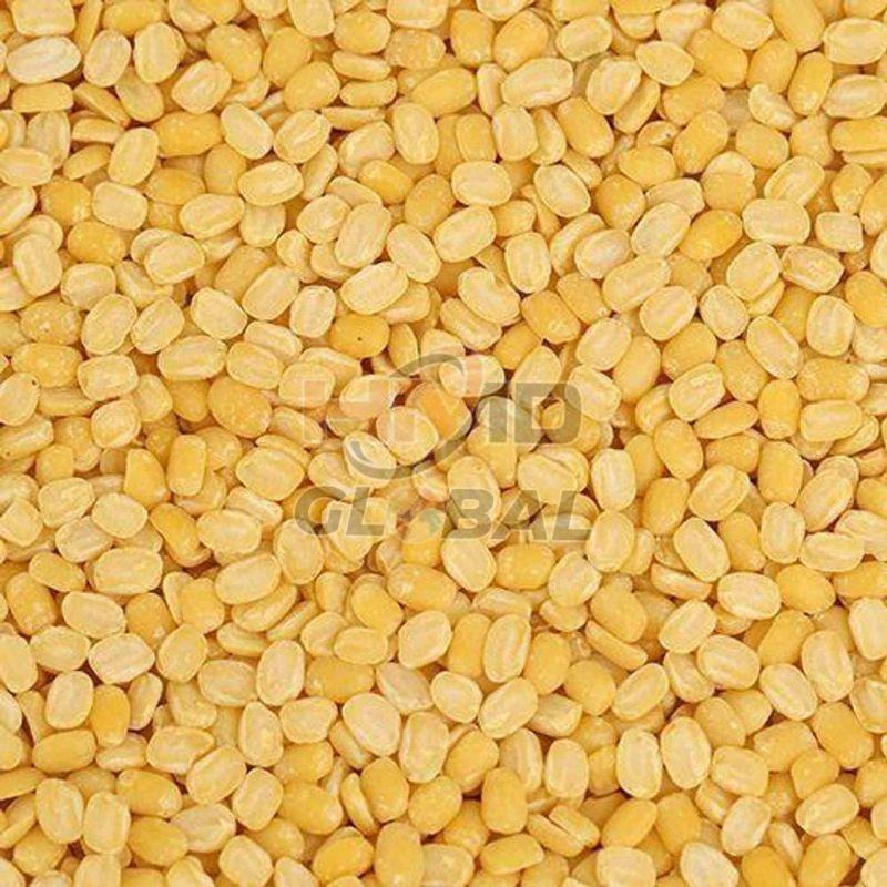 Yellow Split Moong Dal
