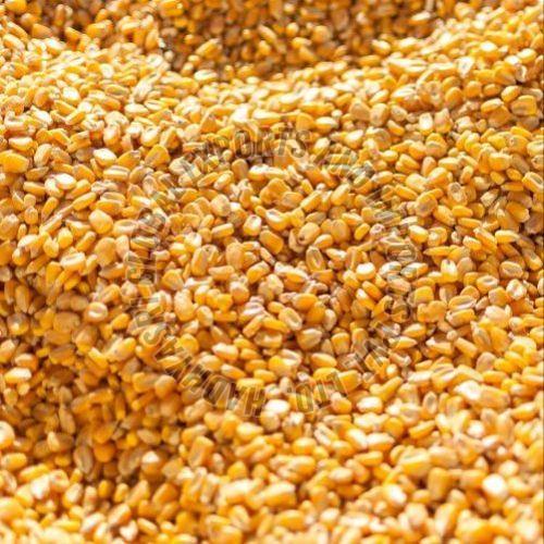 Organic Cattle Feed Maize, Color : Yellow, Packaging Size : 50 Kg