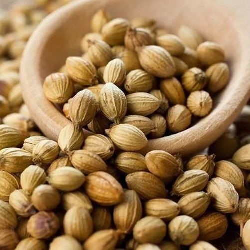 Brown Organic Coriander Seeds, Seed Type : Natural Food Grade