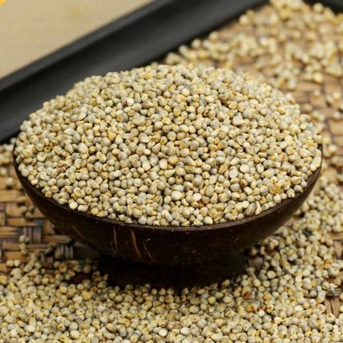 Organic Pearl Millet Seeds, Color : Green Dried, Purity : 100%