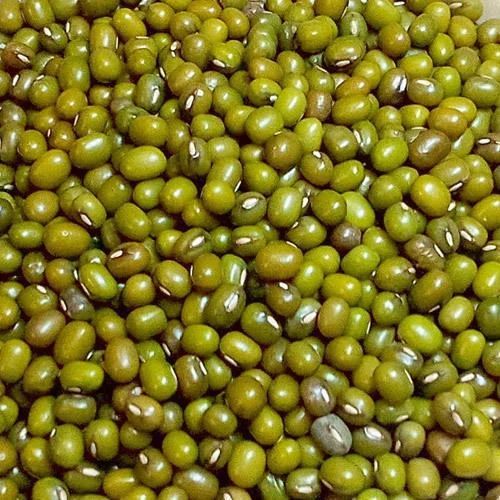 Organic Whole Green Moong Dal for Cooking