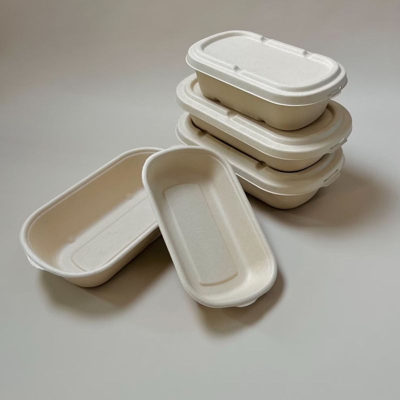 Biodegradable Sugarcane Bagasse Container with Lid