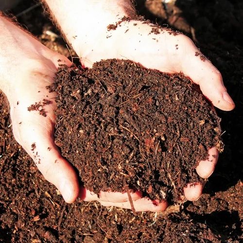 Organic Manure Base Cow Dung