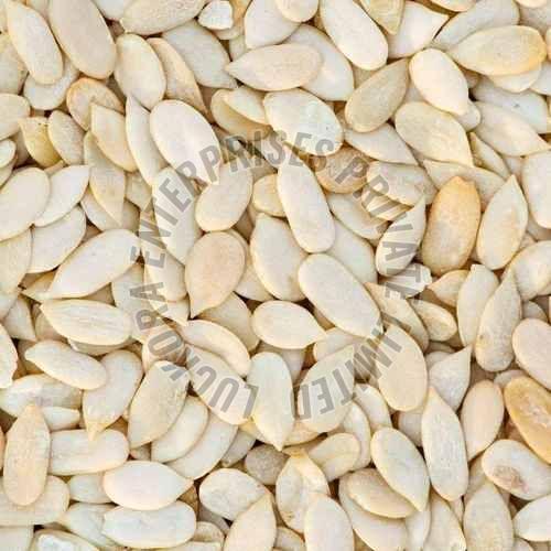White Natural A Grade Muskmelon Seed, Packaging Type : Plastic Bag