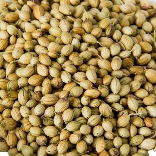coriander seeds
