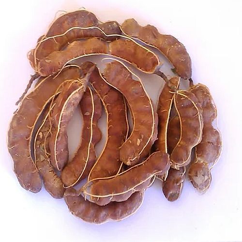 Dried Whole Tamarind