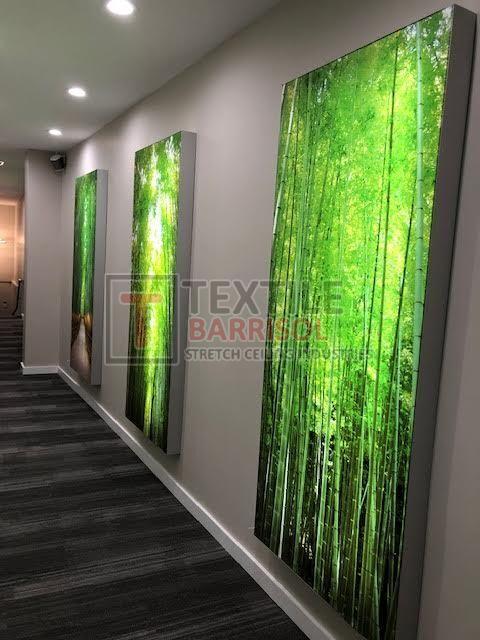 3D Forest Stretch Wall