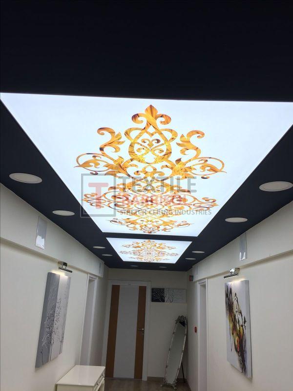 3D Royal Stretch Ceiling