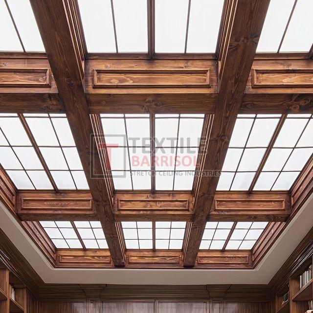 Textile Barrisol Virtual Window and Ceiling