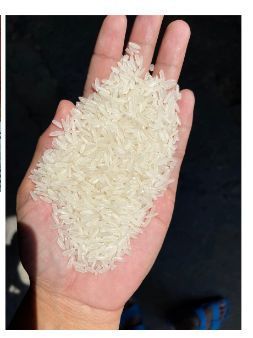 IR 64 Parboiled Rice, Packaging Size : 25-50kg 10%