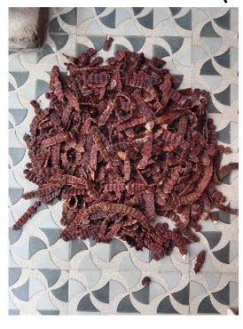 Dry Shikakai Pods, Color : Reddish Brown, Packaging Size : 25-50kg