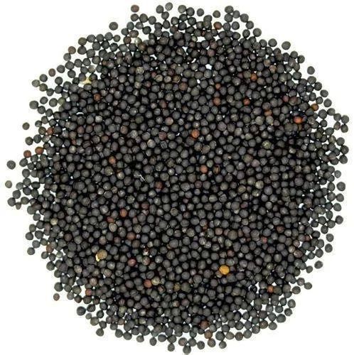 Organic Black Mustard Seeds, Seed Type : Natural 8%