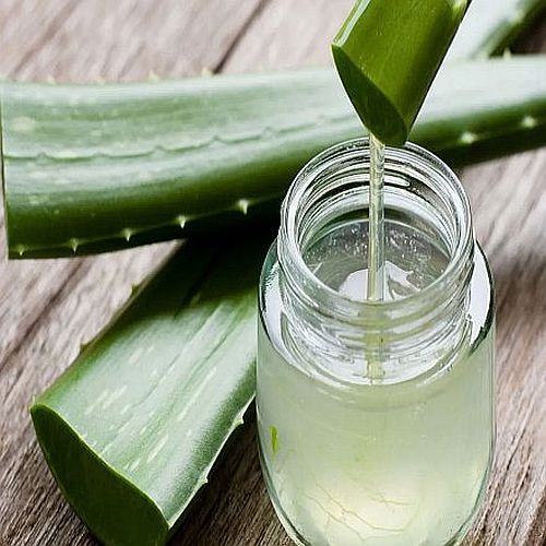 Water Pure Aloe Vera Gel, Color : Green, Purity : 100%