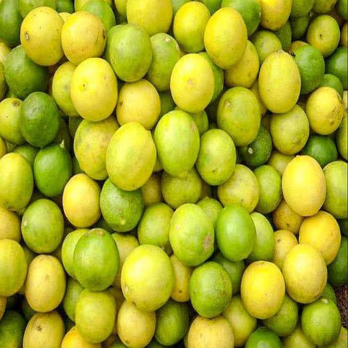 Natural Fresh Lemon, Packaging Size : 25-50kg, Grade : Food Grade