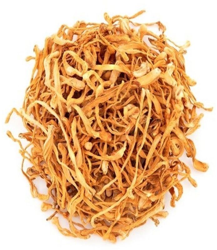 Dried Cordyceps Mushroom