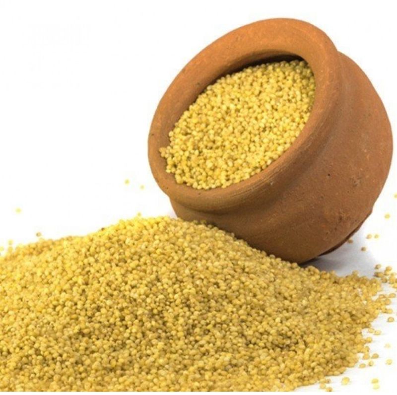 Naturally Grown Foxtail Millet