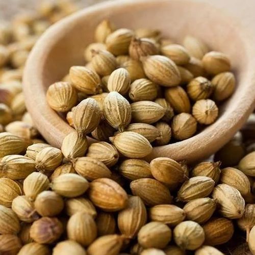 coriander seeds