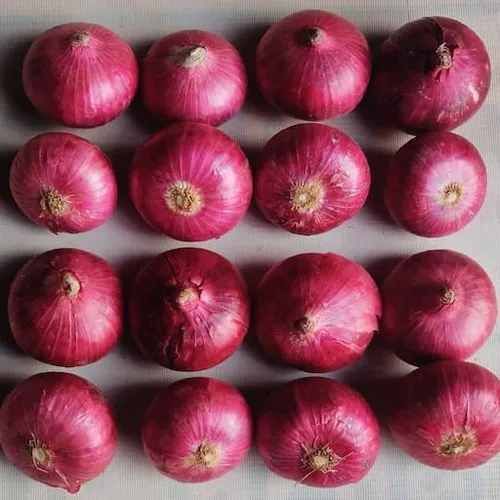 A Grade Maharashtra Fresh Red Onion, Shape : Round