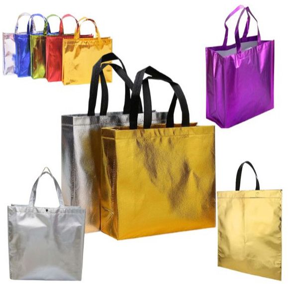 Non Woven Laminated Bags