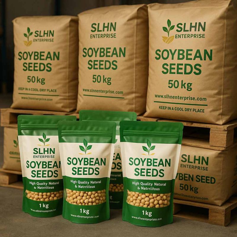 A Grade Premium Soybean Seed