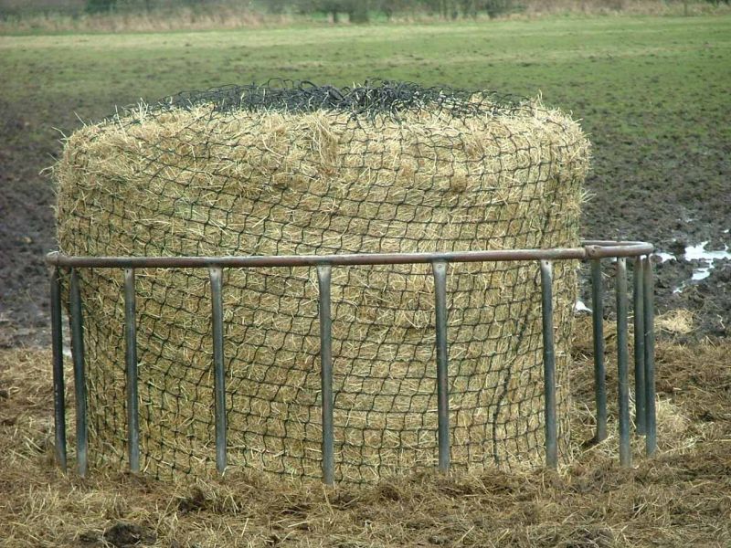Cattle Hay Animal Feed
