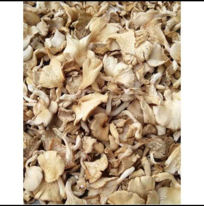 Premium Grade Dried Oyster Mushroom