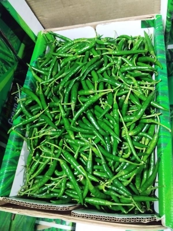 A Grade g4 Fresh Green Chilly