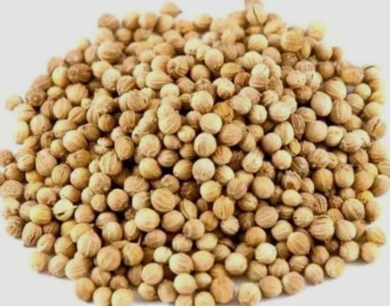 coriander seeds