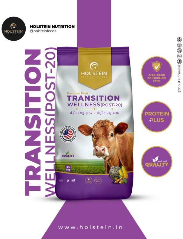 Holstein Transition Wellness Post 20 Cattle Feed