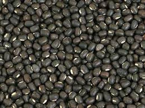 Black Natural Sabut Urad Dal