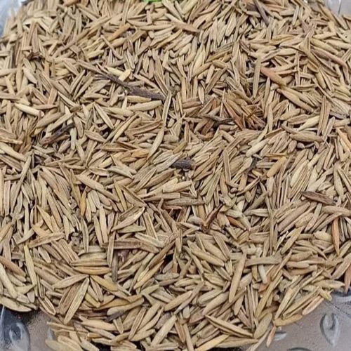 Natural Indra Jau Kadwa, Color : Light Green for Ayurvedic Medicine