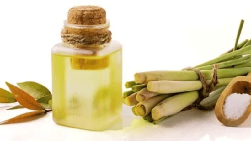 Citronella Aroma Oil