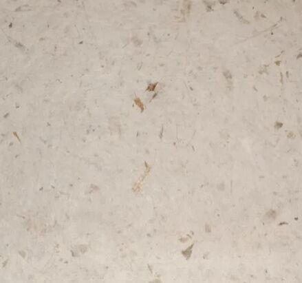 White Cotton Hand Made Seed Paper