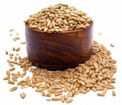 Hulled Oat Groats, Color : Beige, Packaging Type : Bag