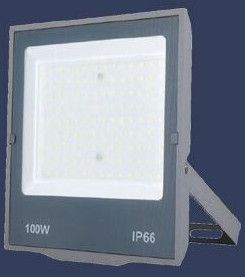 Flood Light Pico