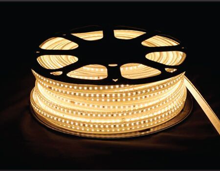 Coral LED Rope Light