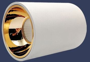 Surface COB Light Atom