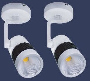 Wall Spot Light Brio