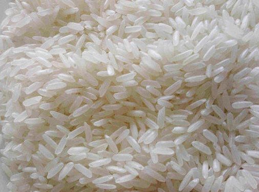 IR 8 White Rice